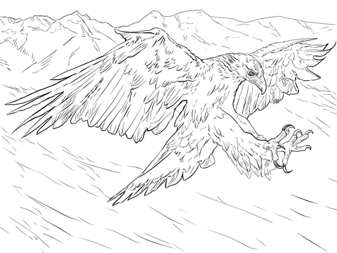 Golden Eagle Attacks Coloring Page